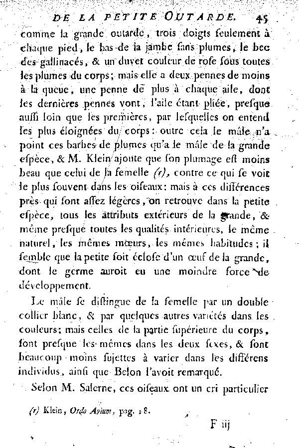 La petite Outarde, vulgairement la Canepetière