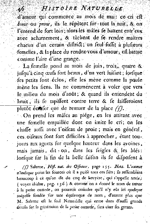 La petite Outarde, vulgairement la Canepetière