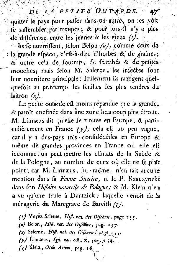 La petite Outarde, vulgairement la Canepetière