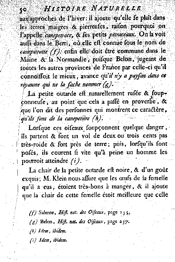 La petite Outarde, vulgairement la Canepetière