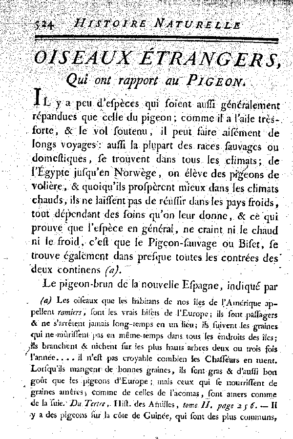 Oiseaux étrangers qui ont rapport au Pigeon