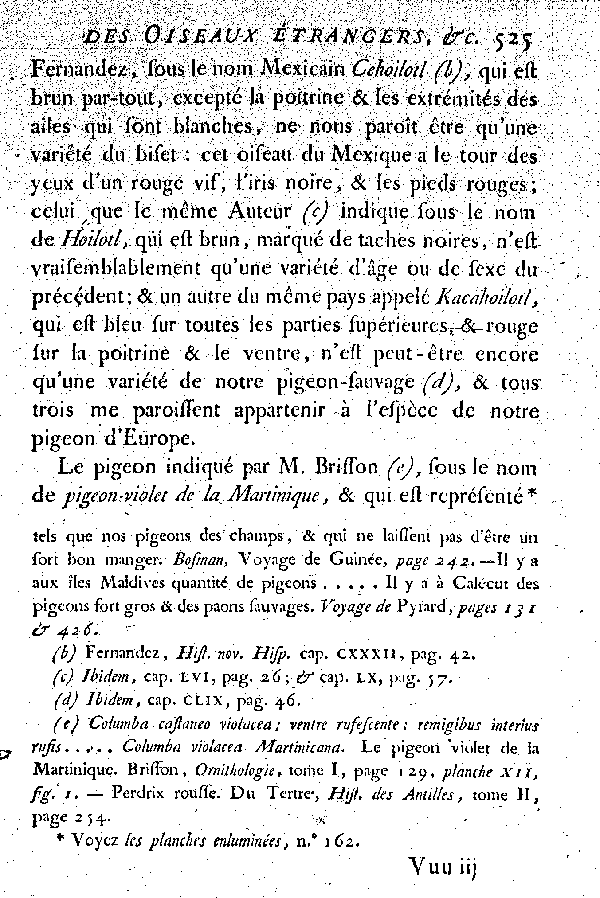 Oiseaux étrangers qui ont rapport au Pigeon