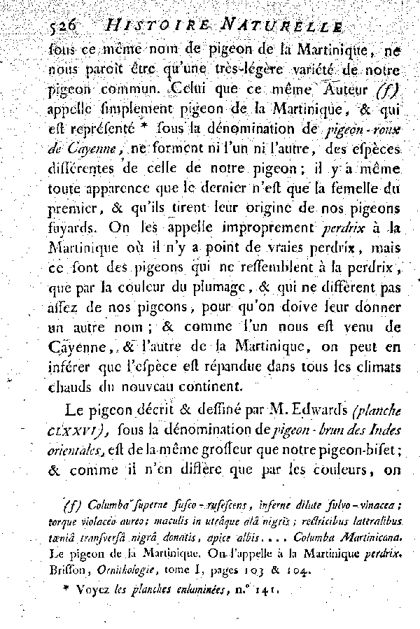 Oiseaux étrangers qui ont rapport au Pigeon