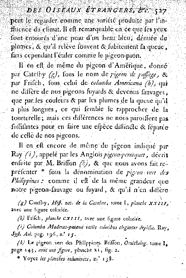 Oiseaux étrangers qui ont rapport au Pigeon