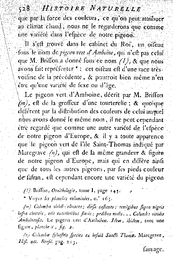 Oiseaux étrangers qui ont rapport au Pigeon