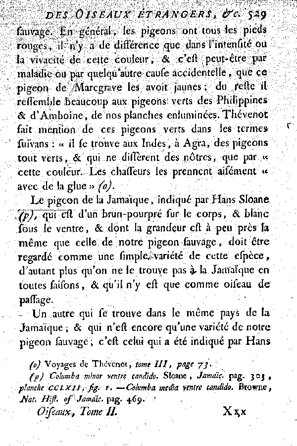 Oiseaux étrangers qui ont rapport au Pigeon