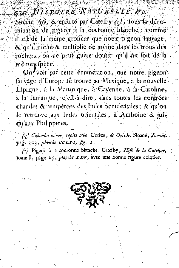 Oiseaux étrangers qui ont rapport au Pigeon