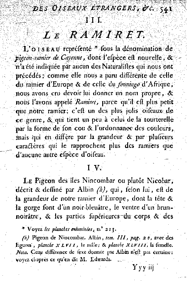 IV. Le Pigeon des îles Nincombar