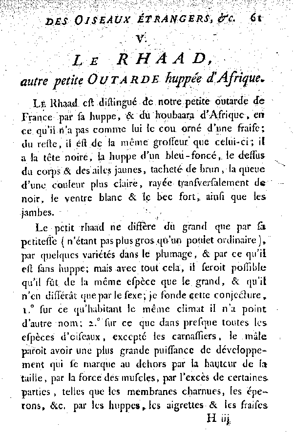 V. Le Rhaad, autre petite Outarde huppée d'Afrique