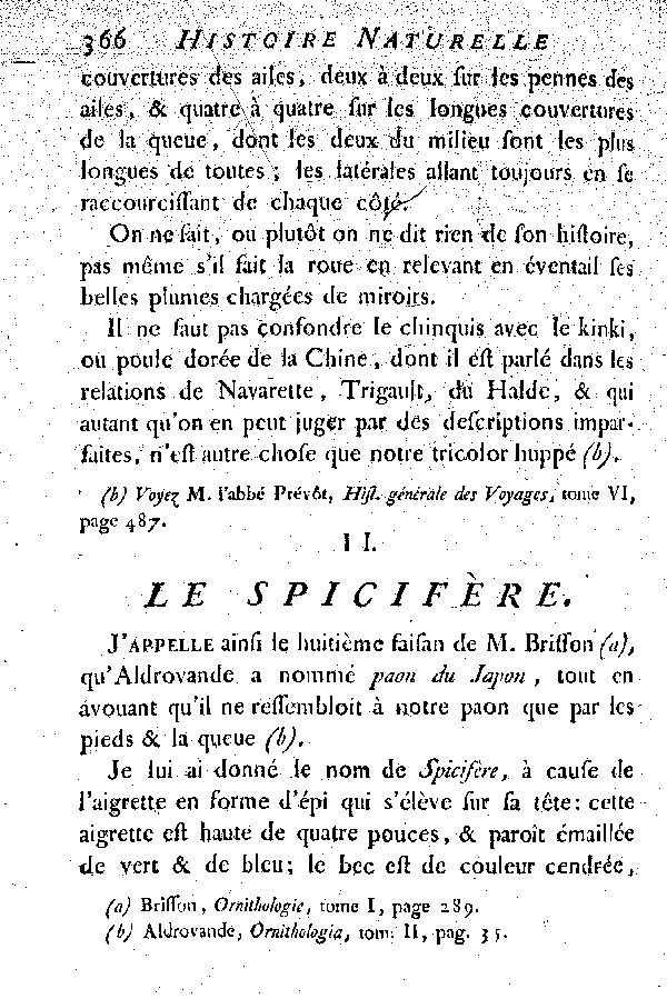 II. Le Spicifère