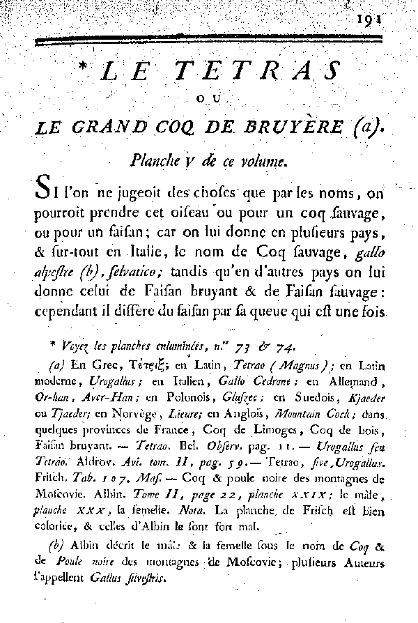 Le Tetras ou le grand Coq de bruyère