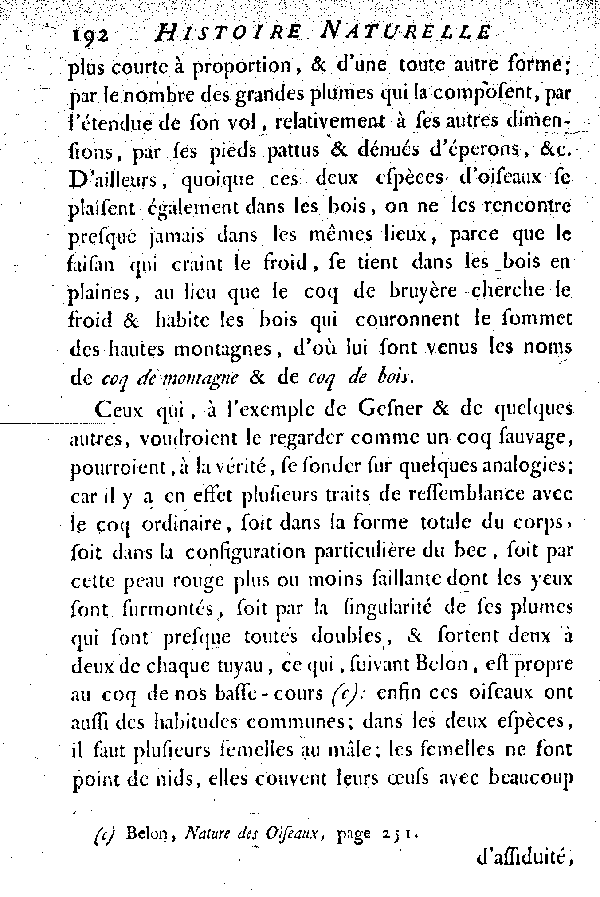 Le Tetras ou le grand Coq de bruyère