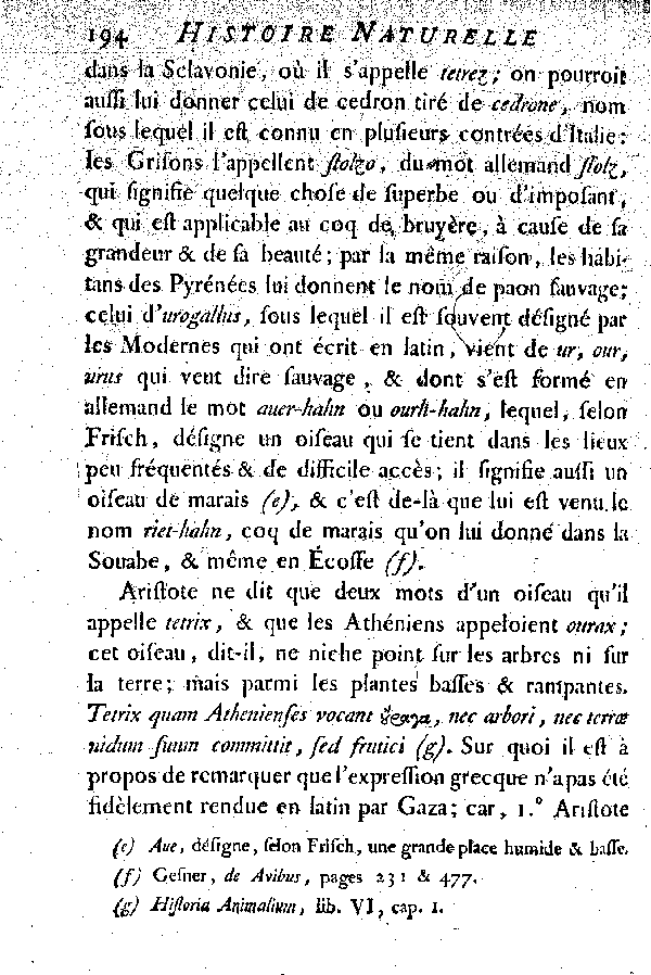 Le Tetras ou le grand Coq de bruyère