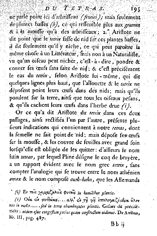 Le Tetras ou le grand Coq de bruyère