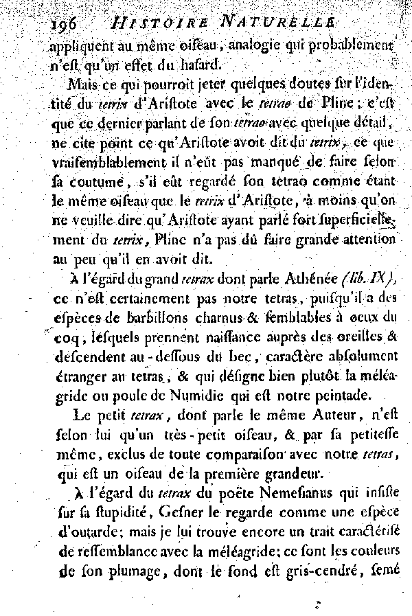 Le Tetras ou le grand Coq de bruyère