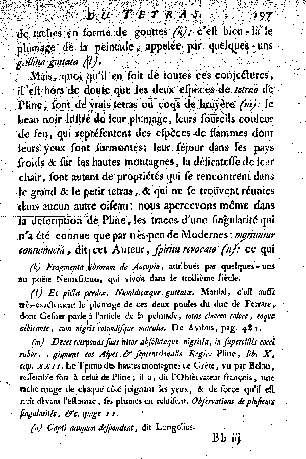 Le Tetras ou le grand Coq de bruyère