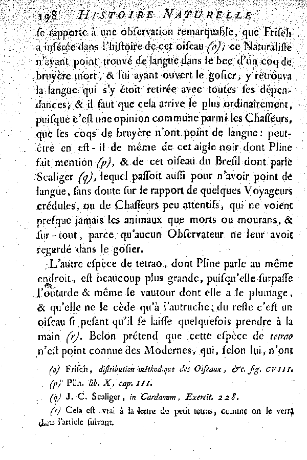 Le Tetras ou le grand Coq de bruyère