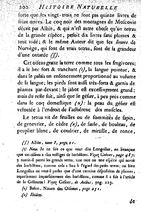 Le Tetras ou le grand Coq de bruyère