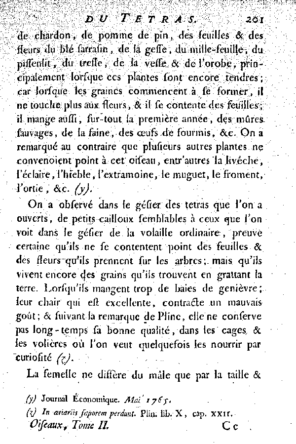 Le Tetras ou le grand Coq de bruyère