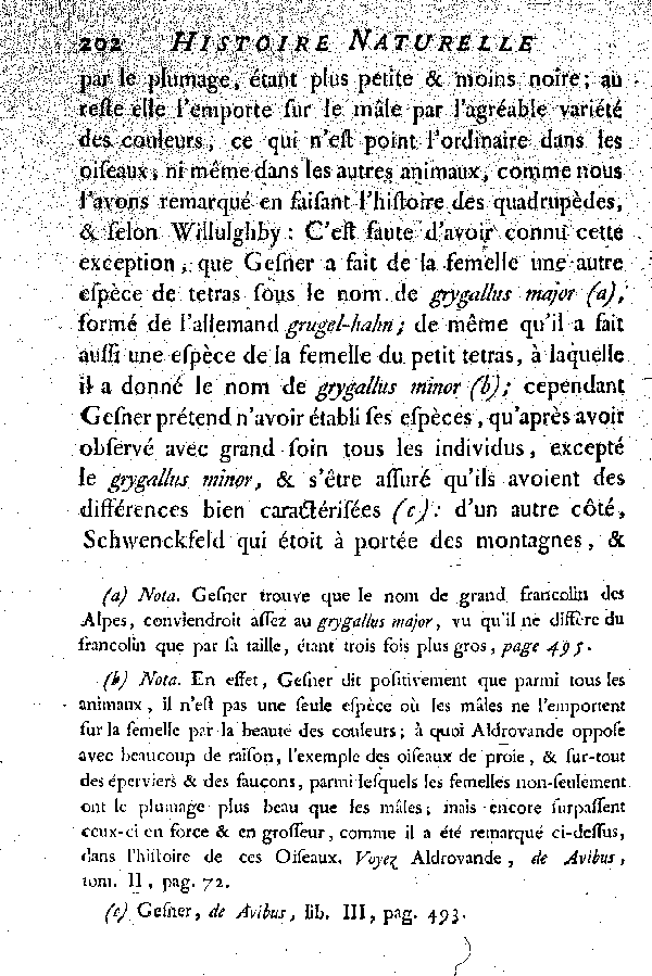 Le Tetras ou le grand Coq de bruyère