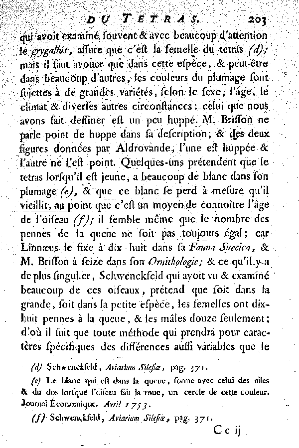 Le Tetras ou le grand Coq de bruyère