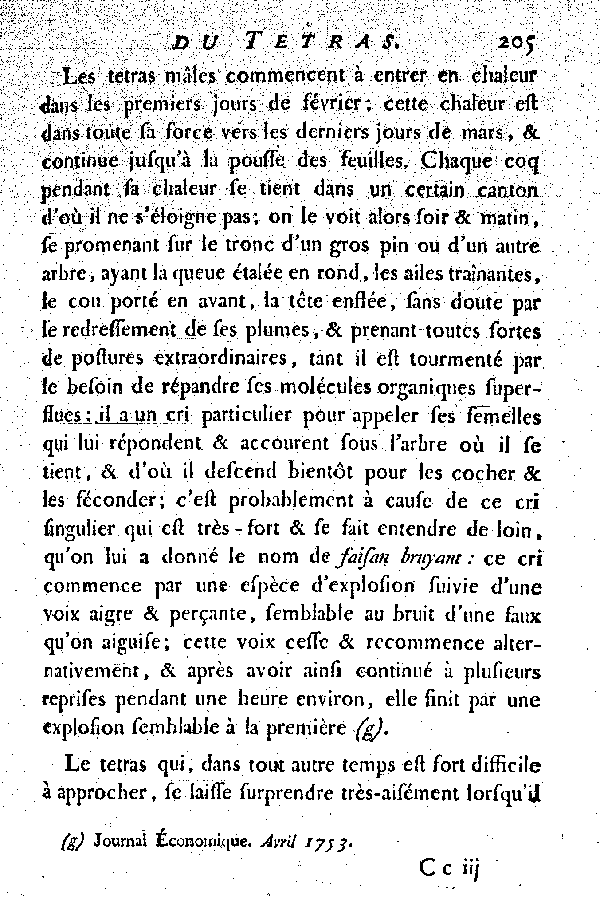 Le Tetras ou le grand Coq de bruyère