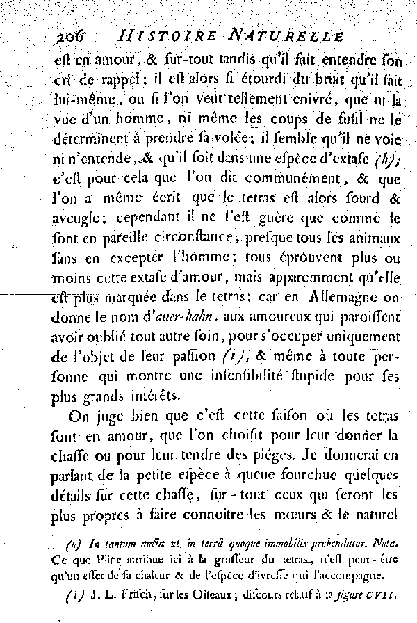 Le Tetras ou le grand Coq de bruyère