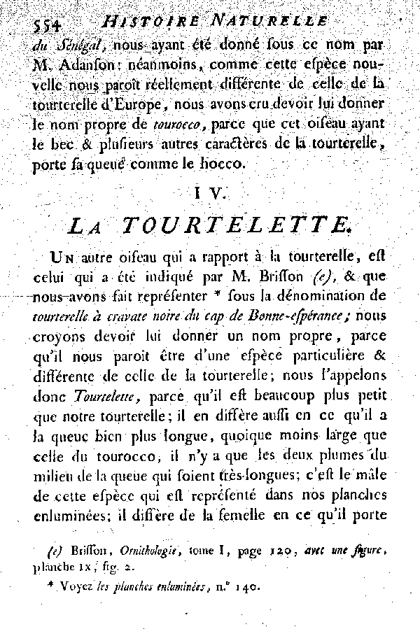 IV. La Tourtelette