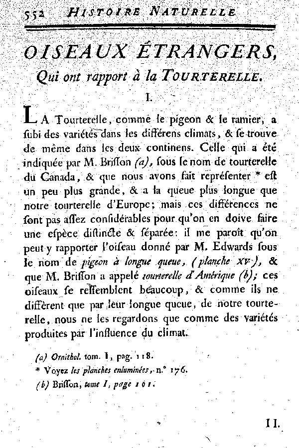 I. La Tourterelle du Canada