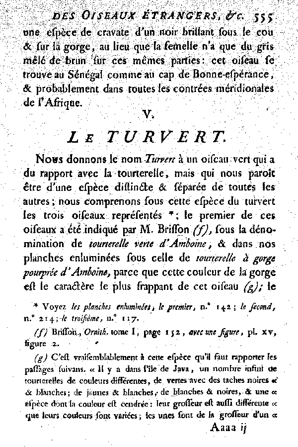 V. Le Turvert