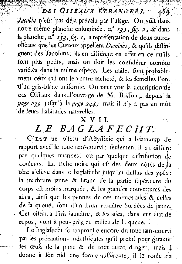 XVII. Le Baglafecht