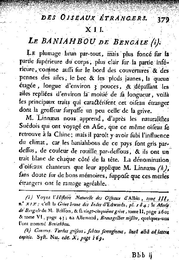 XII. Le Baniahbou de Bengale