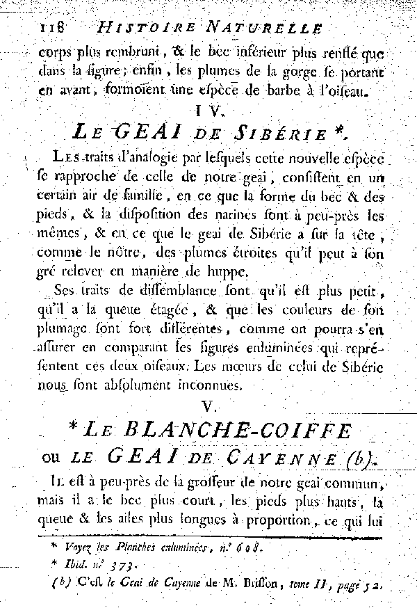V. Le Blanche-Coiffe ou le Geai de Cayenne