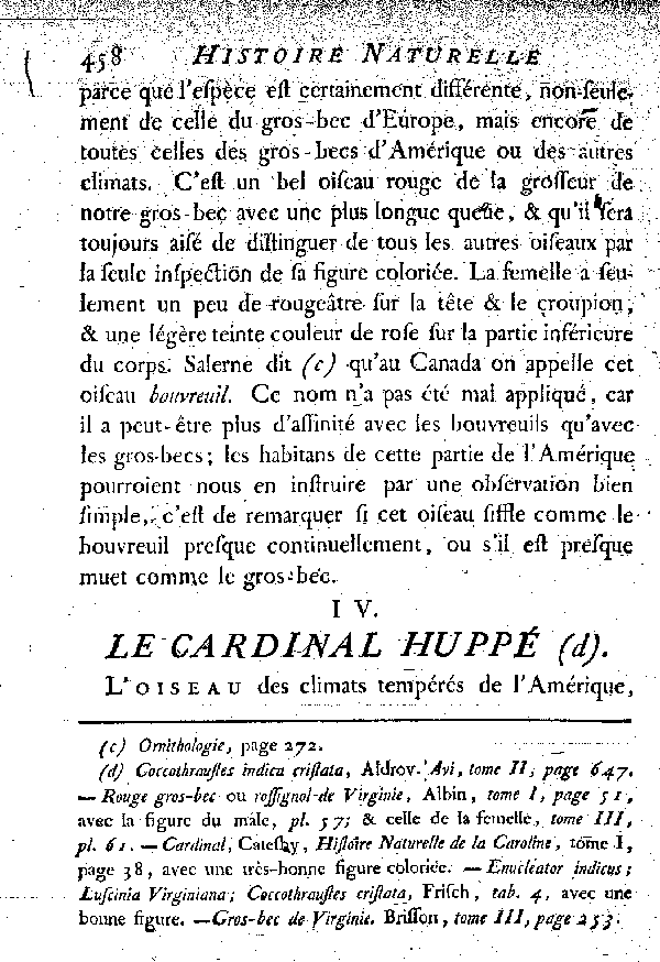 IV. Le Cardinal huppé