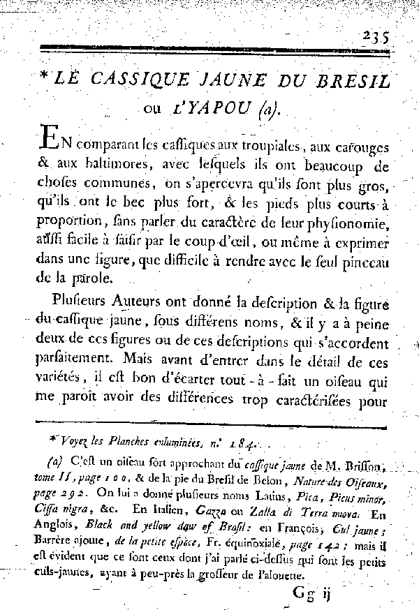 Le Cassique jaune du Bresil ou l'Yapou