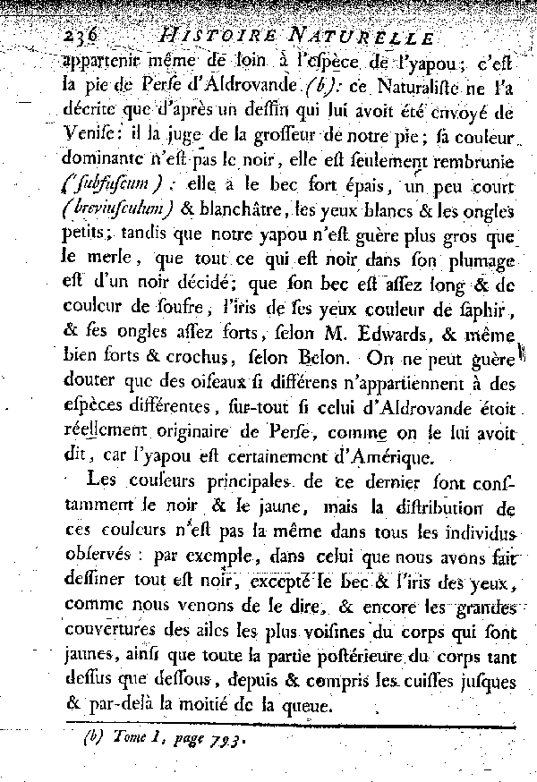 Le Cassique jaune du Bresil ou l'Yapou