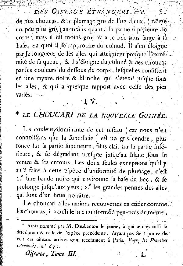 IV. Le Choucari de la nouvelle Guinée