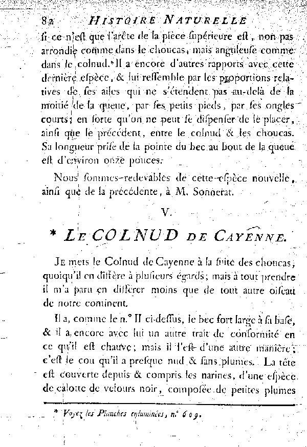 V. Le Colnud de Cayenne