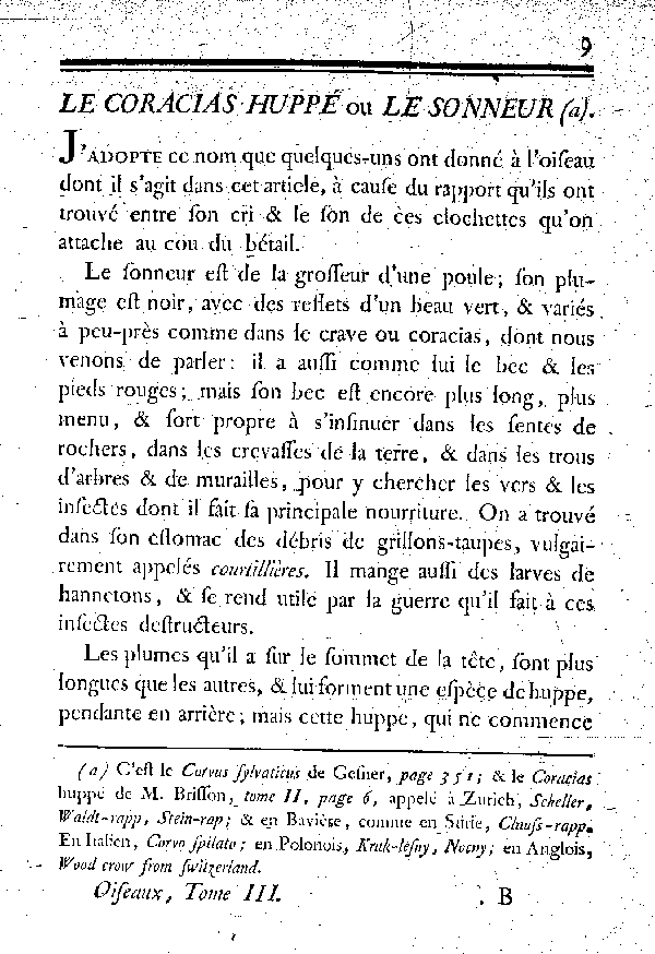 Le Coracias huppé ou le Sonneur