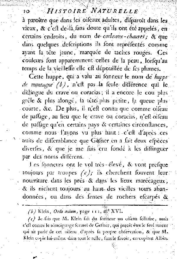 Le Coracias huppé ou le Sonneur