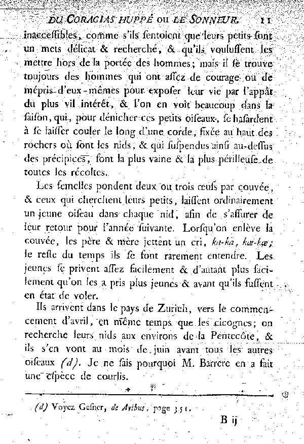 Le Coracias huppé ou le Sonneur