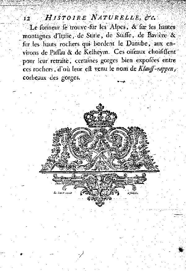 Le Coracias huppé ou le Sonneur