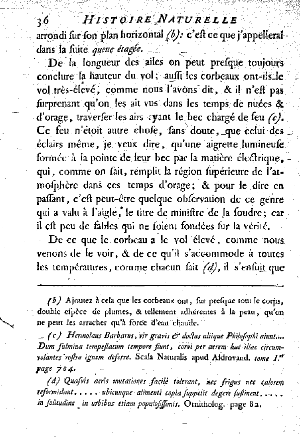 Le Corbeau