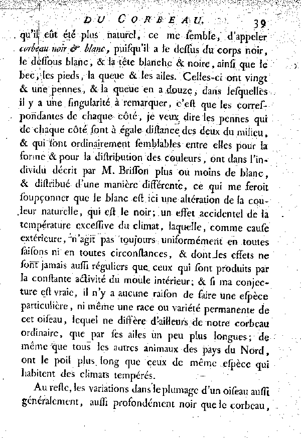Le Corbeau