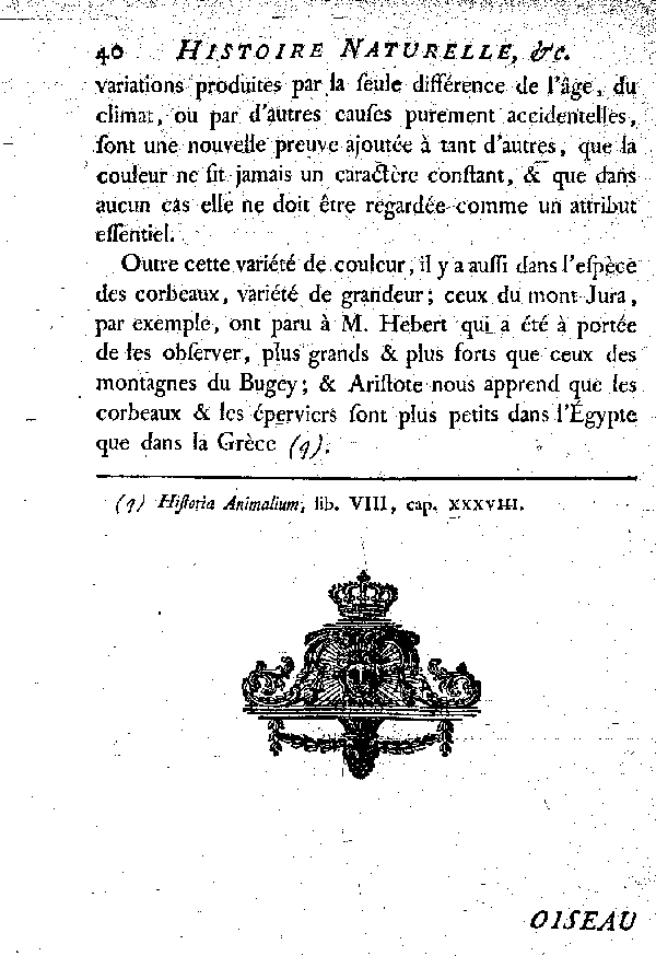 Le Corbeau