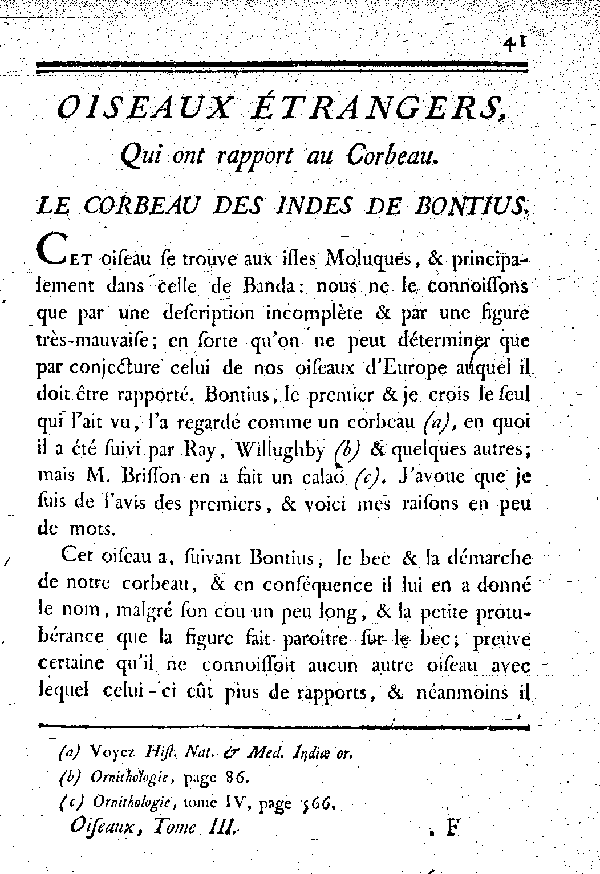 Le Corbeau des Indes de Bontius