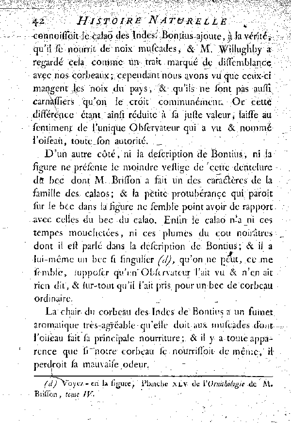 Le Corbeau des Indes de Bontius