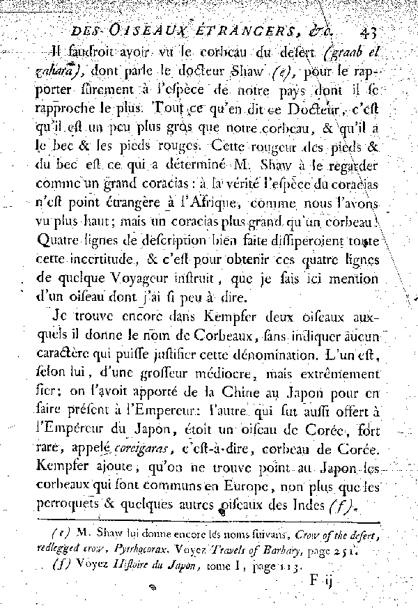 Le Corbeau des Indes de Bontius