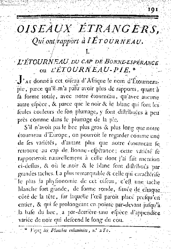 I. L'étourneau du cap de Bonne-espérance ou l'étourneau-Pie