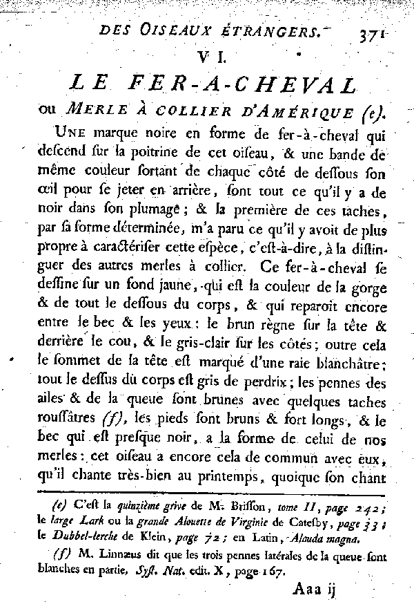 VI. Le Fer-à-cheval ou Merle à collier d'Amérique.